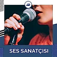 Ses Sanatçısı